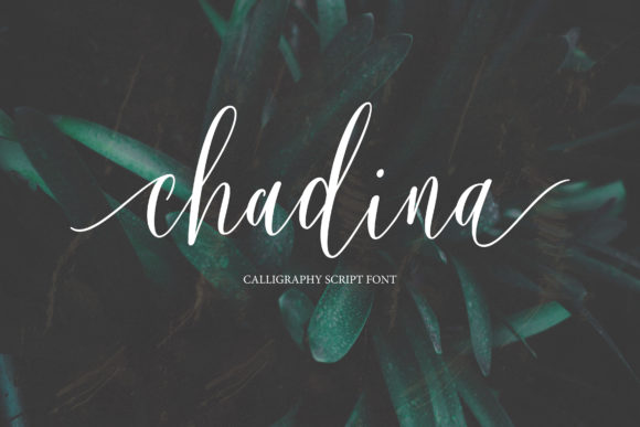 Chadina Script: Crafting Authenticity with a Modern Calligraphy Font