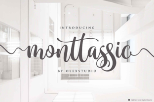 Monttassic Script: A Modern Handlettering Typeface for Creative Projects