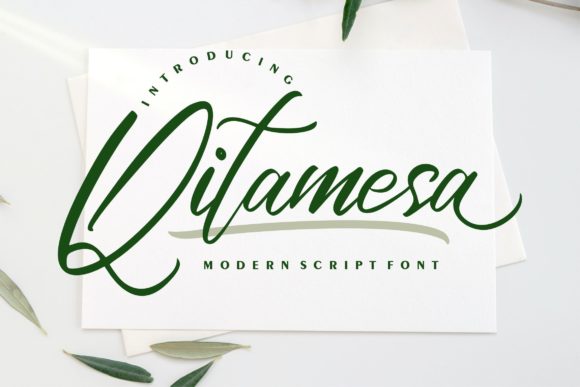 Qitamesa Script: A Modern Calligraphy Font for Timeless Projects